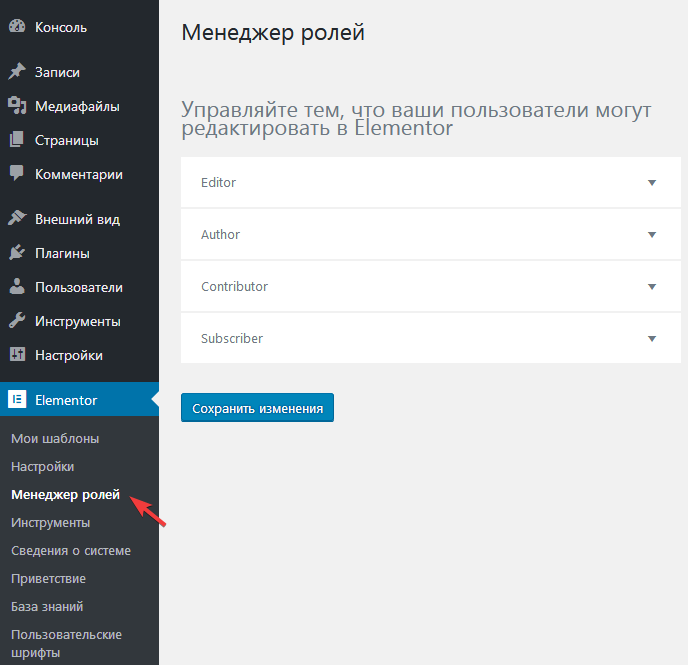 Страница настроек плагина Elementor