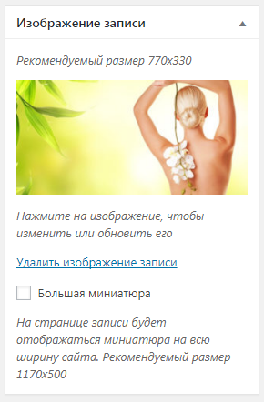 Блок Изображение записи с добавленной миниатюрой