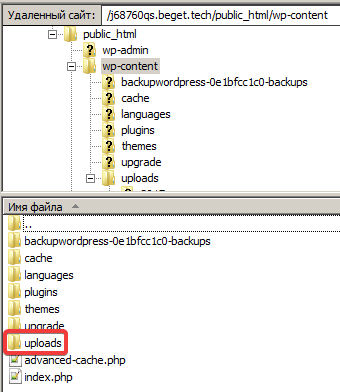 Список файлов и каталогов сайта в программе FileZilla