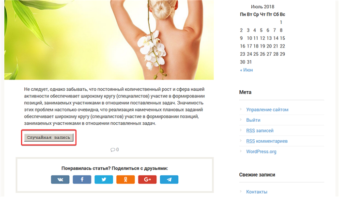 Страница записи на сайте