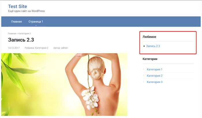 Страница записи