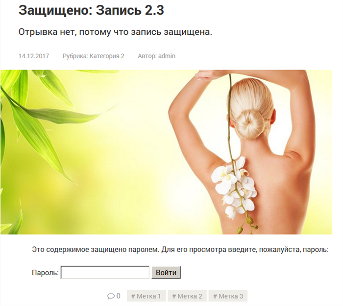 Страница записи