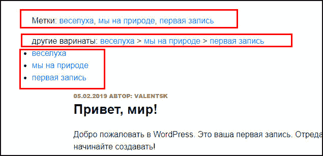 вывод меток на сайте после добавления в код